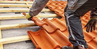 Serviços Profissionais de Telhadista